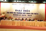 ĐẠI HỘI ĐẠI BIỂU HỌ TRƯƠNG VIỆT NAM LẦN THỨ HAI, NHIỆM KỲ 2016 – 2019. ĐẠI HỘI CỦA TÌNH ĐOÀN KẾT, TRÍ TUỆ VÀ PHÁT TRIỂN
