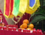 Họ Trương Văn làng Phú Lễ với 