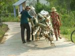 Ký ức làng quê
