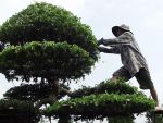 Làng hoa Việt 8 thế kỷ: Vùng đất tổ của nghề trồng hoa