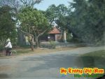 Thái Vương Trương Nữu đại tướng quân (737-791)