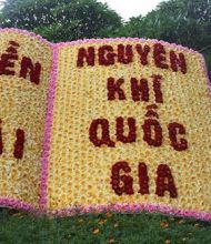 Thư cảm ơn của Hội đồng Trương tộc thôn Tảo Khê, xã Tảo Dương Văn, Ứng Hòa, Hà Nội gửi Doanh nhân Trương Hữu Thắng.