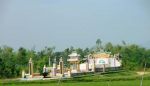 Tìm bà con họ Trương ở Hoa Viên, Nghệ An